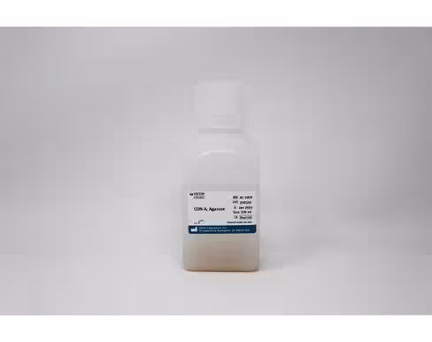 Agarose concanavalin a (100ml)