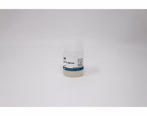 Agarose concanavalin a 10 ml