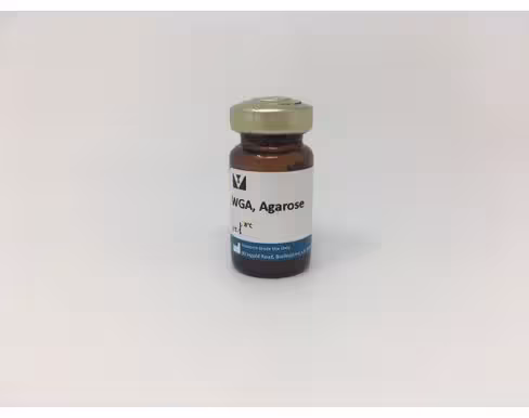 Agarose bound wheat germ agglutinin (wga) 2 ml