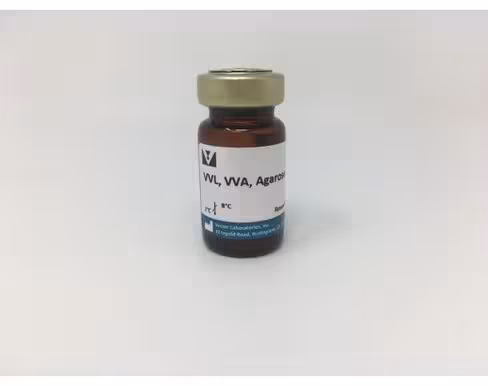 Agarose vicia villosa lectin 2ml