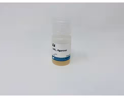 Agarose galanthus nivalis 5 ml