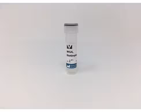 Biotinylated wheat germ agglutinin 5 mg