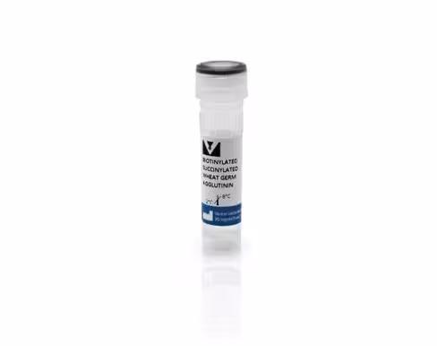 Biotinylated succinylated wheat germ agglutinin 5 mg
