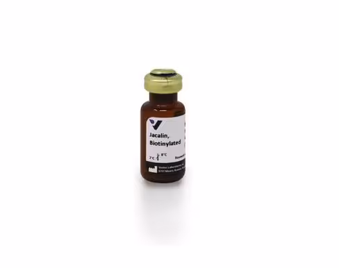 Biotinylated jacalin 5 mg