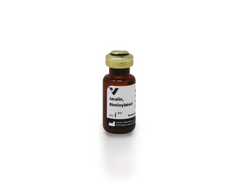 Biotinylated jacalin 5 mg