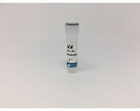 Biotinylated solanum tuberosum (potato) lectin 2 mg