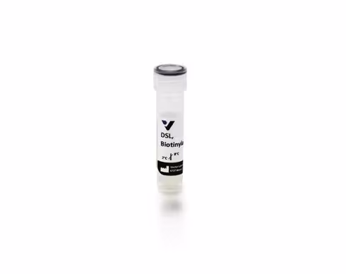 Biotinylated datura stramonium lectin 2 mg