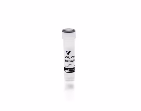 Biotinylated vicia villosa lectin 2 mg