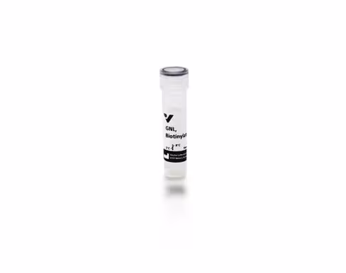 Biotinylated galanthus nivalis lectin 2 mg