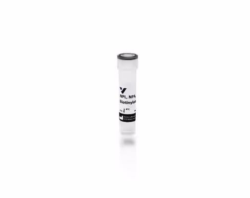 Biotinylated narcissus pseudonarcissus lectin 2 mg