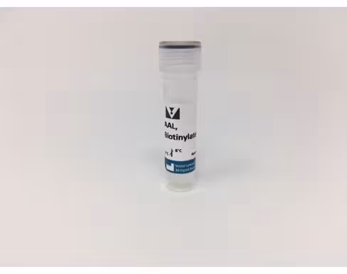 Biotinylated aleuria aurantia lectin 1 mg