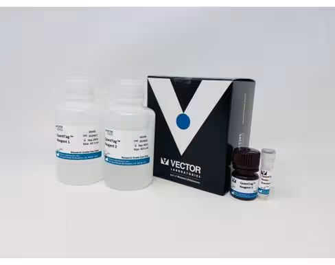 Quant tag biotin kit