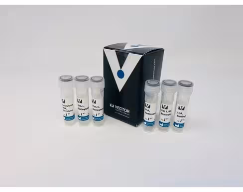 Biotinylated lectin kit ii