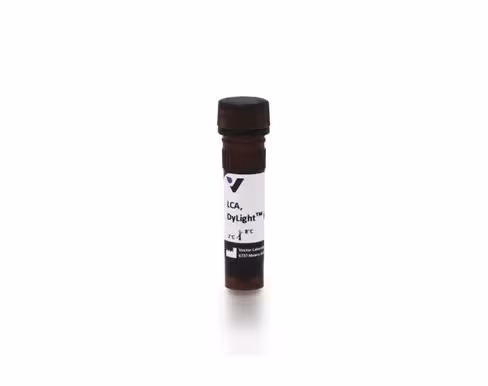 Dylight 649 lens culinaris agglutinin 1 mg