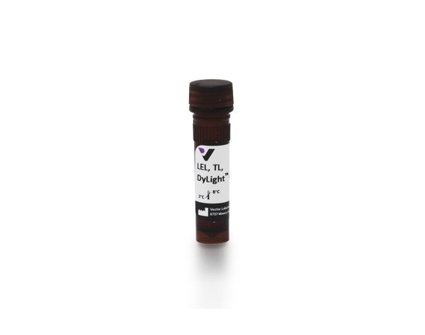 Dylight 488 lycopersicon esculentum lectin 1 mg