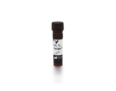 Dylight 488 lycopersicon esculentum lectin 1 mg