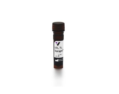 Dylight 649 lycopersicon esculentum lectin 1 mg