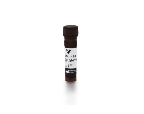 Dylight 594 griffonia simplicifolia lectin i - b4 (0.5mg)