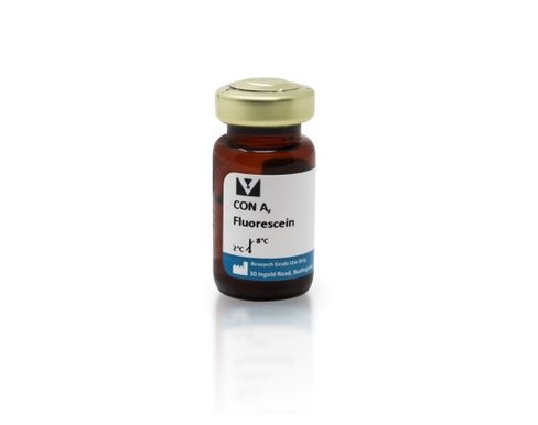 Fluorescein concanavalin a (25mg)