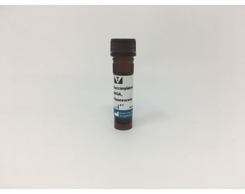 Fluorescein succinylated wheat germ agglutinin 5 mg