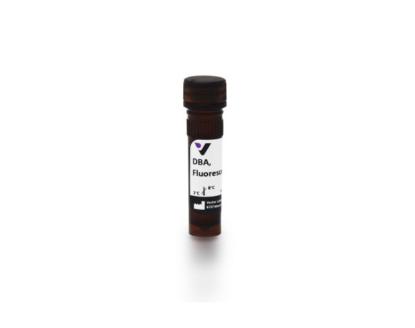Fluorescein dolichos biflorus agglutinin 2 mg