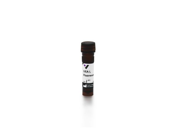 Fluorescein ulex europaeus i 2 mg