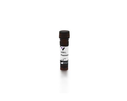 Fluorescein ulex europaeus i 2 mg