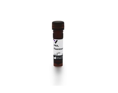 Fluorescein peanut agglutinin 5 mg