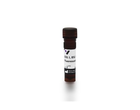 Fluorescein griffonia simplicifolia lectin i 5 mg