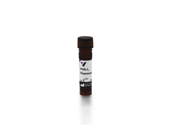 Fluorescein phaseolus vulgaris leucoagglutinin (pha-l) 2 mg