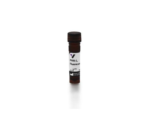 Fluorescein phaseolus vulgaris leucoagglutinin (pha-l) 2 mg