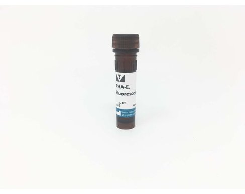 Fluorescein phaseolus vulgaris erythroagglutinin 2 mg