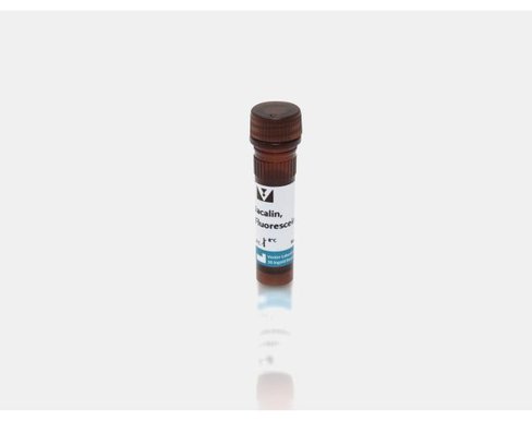 Fluorescein jacalin 5 mg