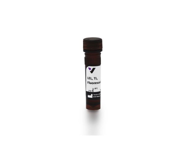 Fluorescein lycopersicon esculentum lectin 1 mg