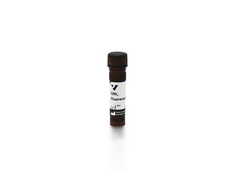 Fluorescein galanthus nivalis lectin 2 mg