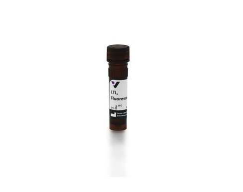 Fluorescein lotus lectin 2 mg
