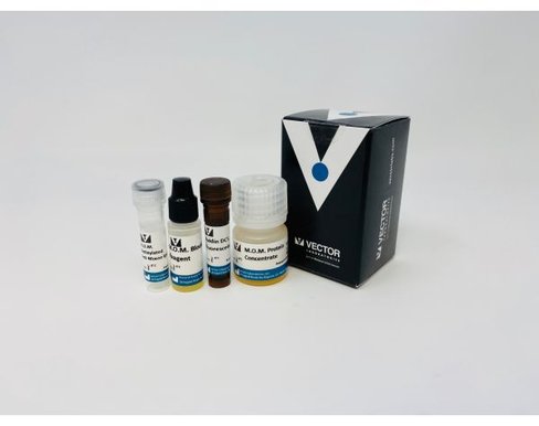 Vector mom kit (fluorescent)
