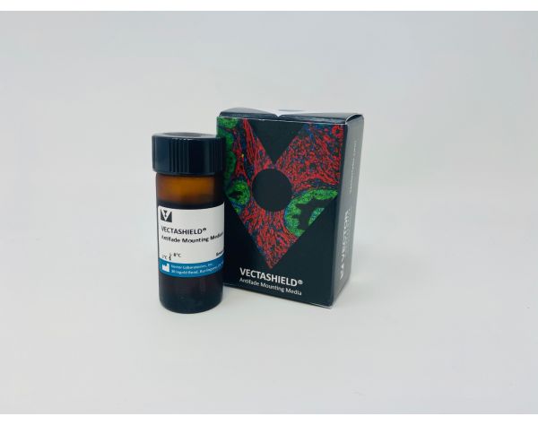 Vectashield 10 ml