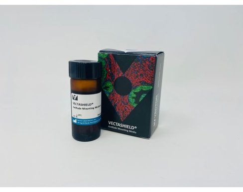 Vectashield 10 ml