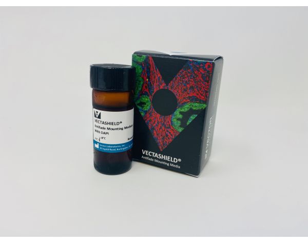 Vectashield with dapi 10 ml