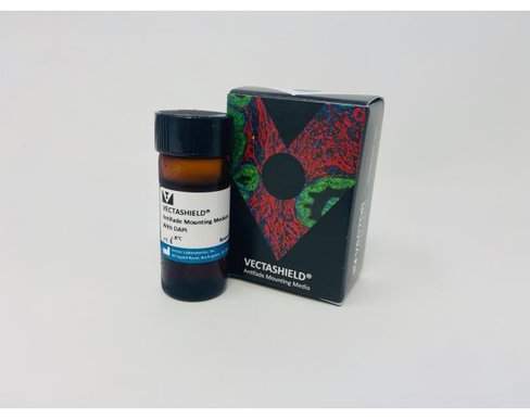 Vectashield with dapi 10 ml