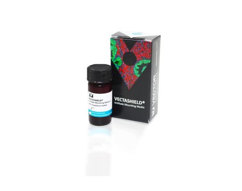 Vectashield with propidium 10 ml