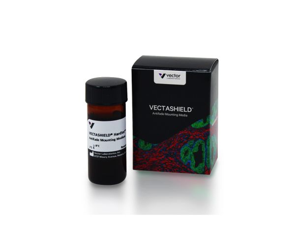 Vectashield hard set 10 ml