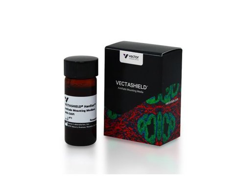Vectashield hard set with dapi 10 ml