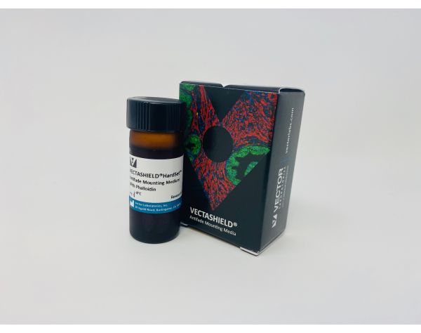 Vectashield hard set with phalloidin(10ml)