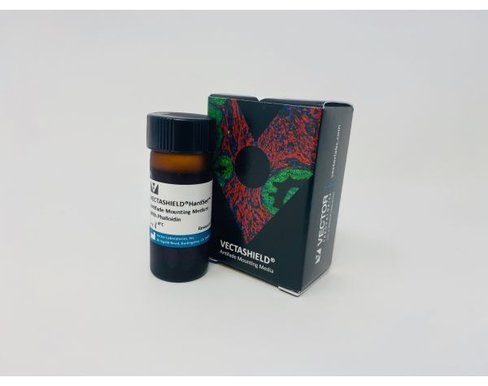 Vectashield hard set with phalloidin(10ml)
