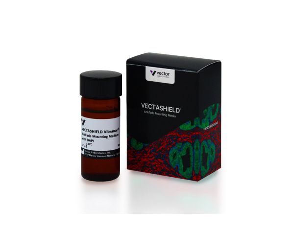 Vectashield vibrance with dapi 10 ml