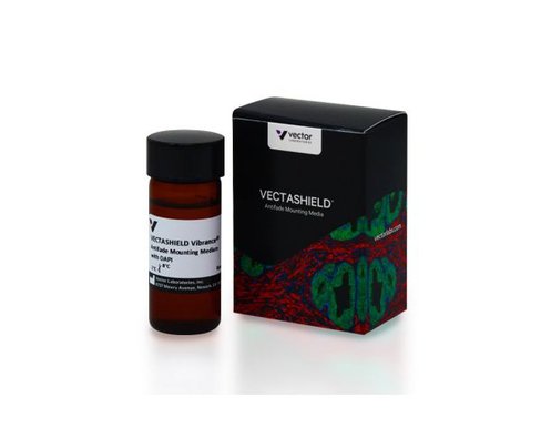 Vectashield vibrance with dapi 10 ml