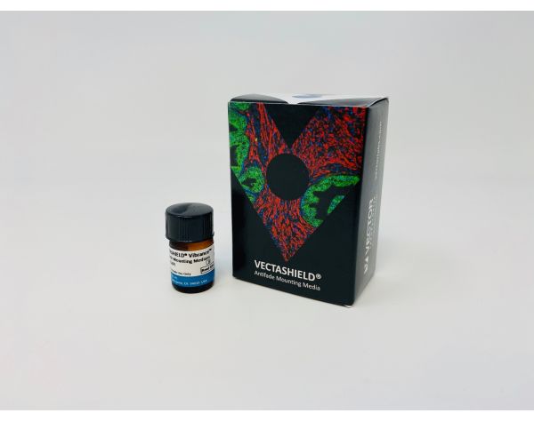 Vectashield vibrance with dapi 2 ml