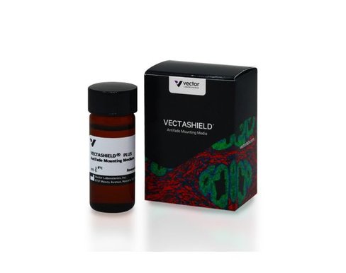 Vectashield plus 10 ml